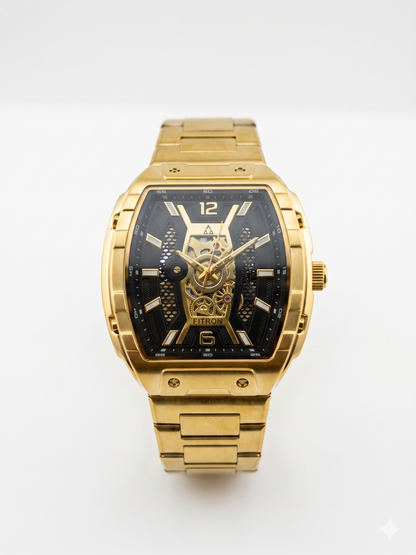 FITRON RM INSPIRED 117234M BLACK DIAL - MEN'S AUTOMATIC